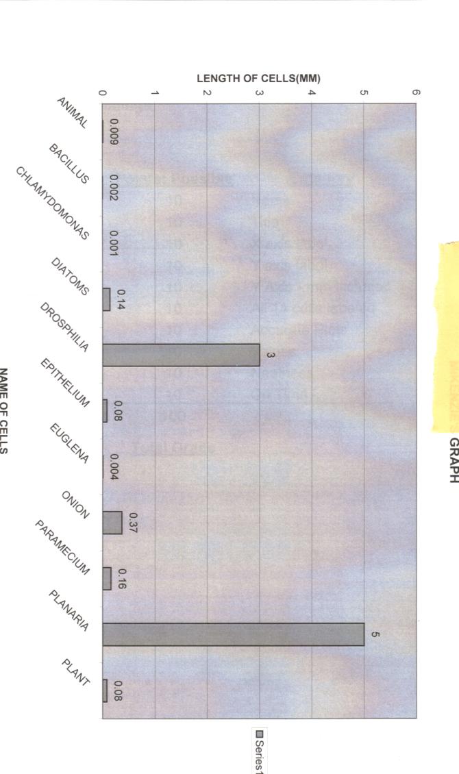 Distinguished Excel Graph.jpg