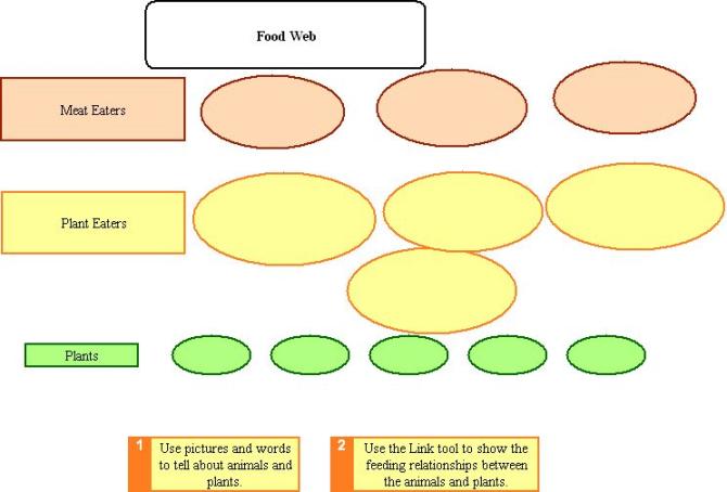 rainforest food chain diagram. tropical rainforest food web diagram. Food+web+diagram+template