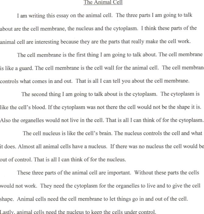 Animal cell essay