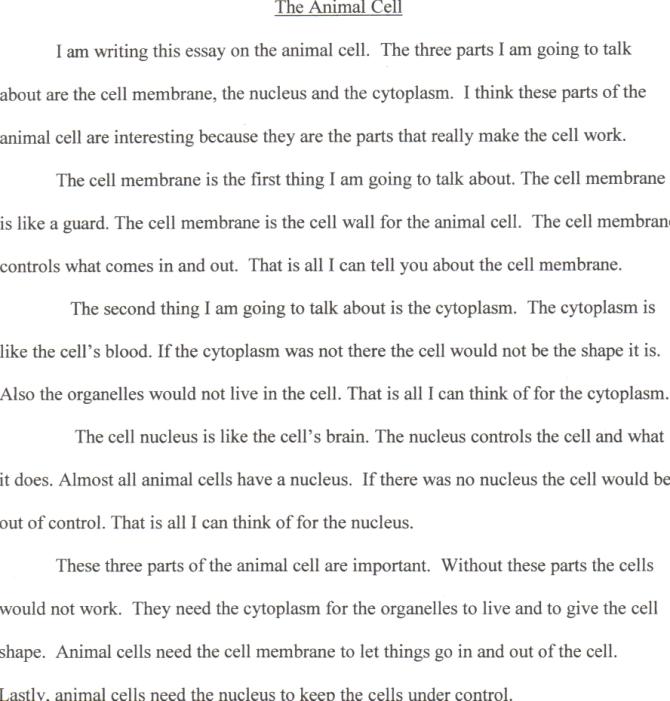 Реферат: The Plant Cell Essay Research Paper Cell