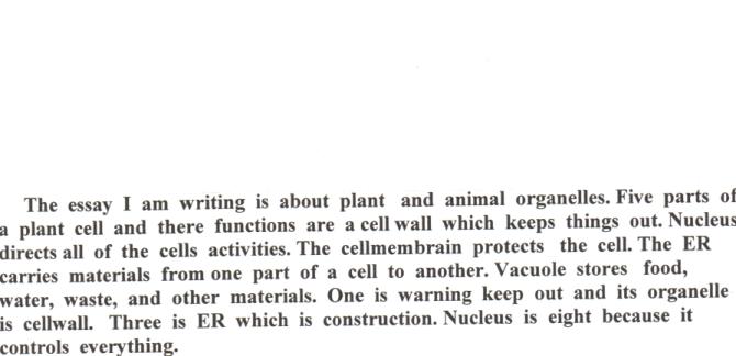 Low Essay.jpg