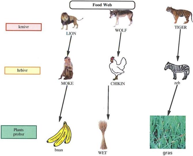 human food chain examples for kids