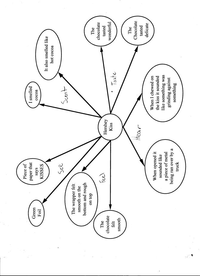 Graphic organizer for writing a descriptive essay