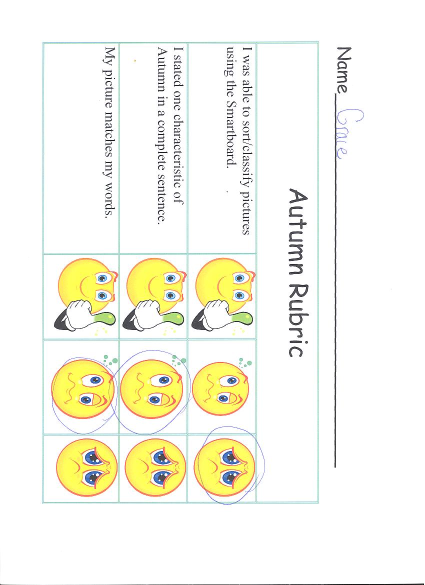 low rubric.jpg