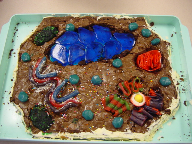 edible human cell project ideas