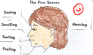 Five Senses Labeling Wksht. - Sample 3