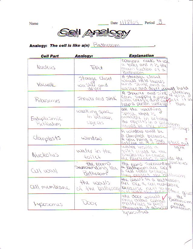 cell analogies worksheet answer key