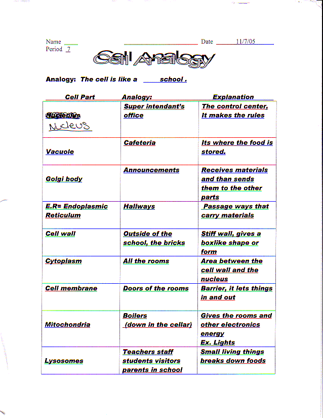 plant cell city analogy