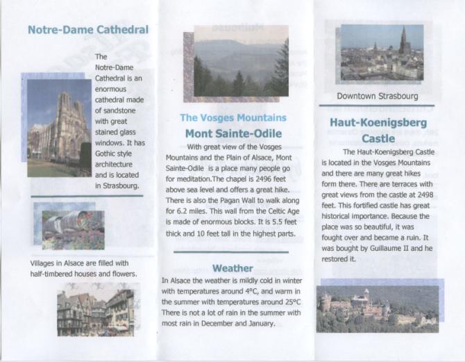 Sample 1 - back page